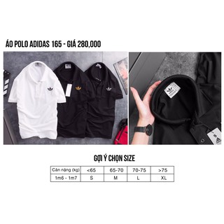Áo polo Das 165