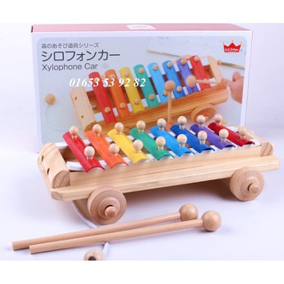 đàn xylophone car