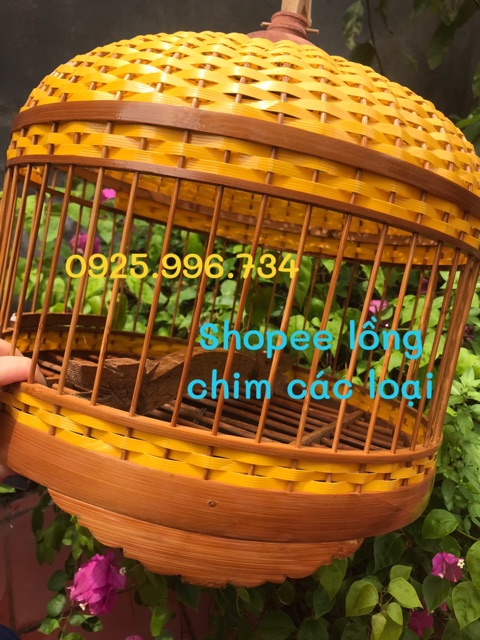 LỒNG CU GÁY ĐAN