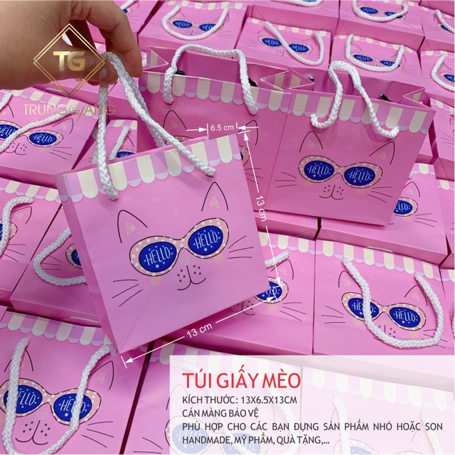 Túi giấy mèo