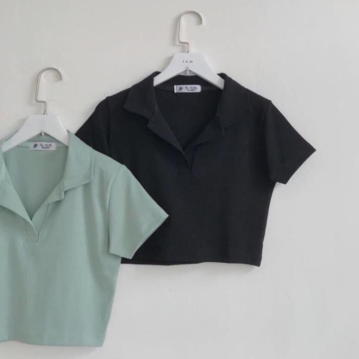 Áo Croptop POLY Nữ Vải Đẹp | BigBuy360 - bigbuy360.vn