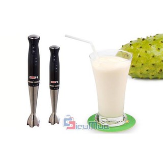 Máy xay sinh tố Honey's HO-HB031C - 300W