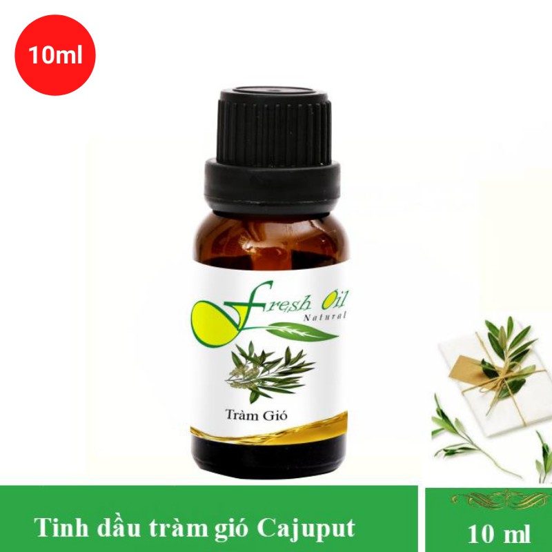 Tinh dầu tràm gió Cajeput 10ml