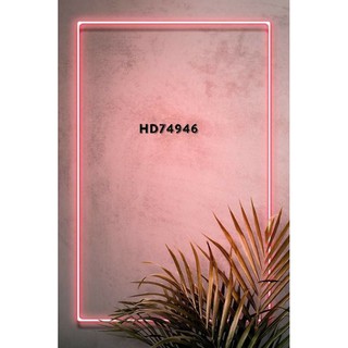 PHÔNG 3D CHỤP ẢNH (Livestream-Background)