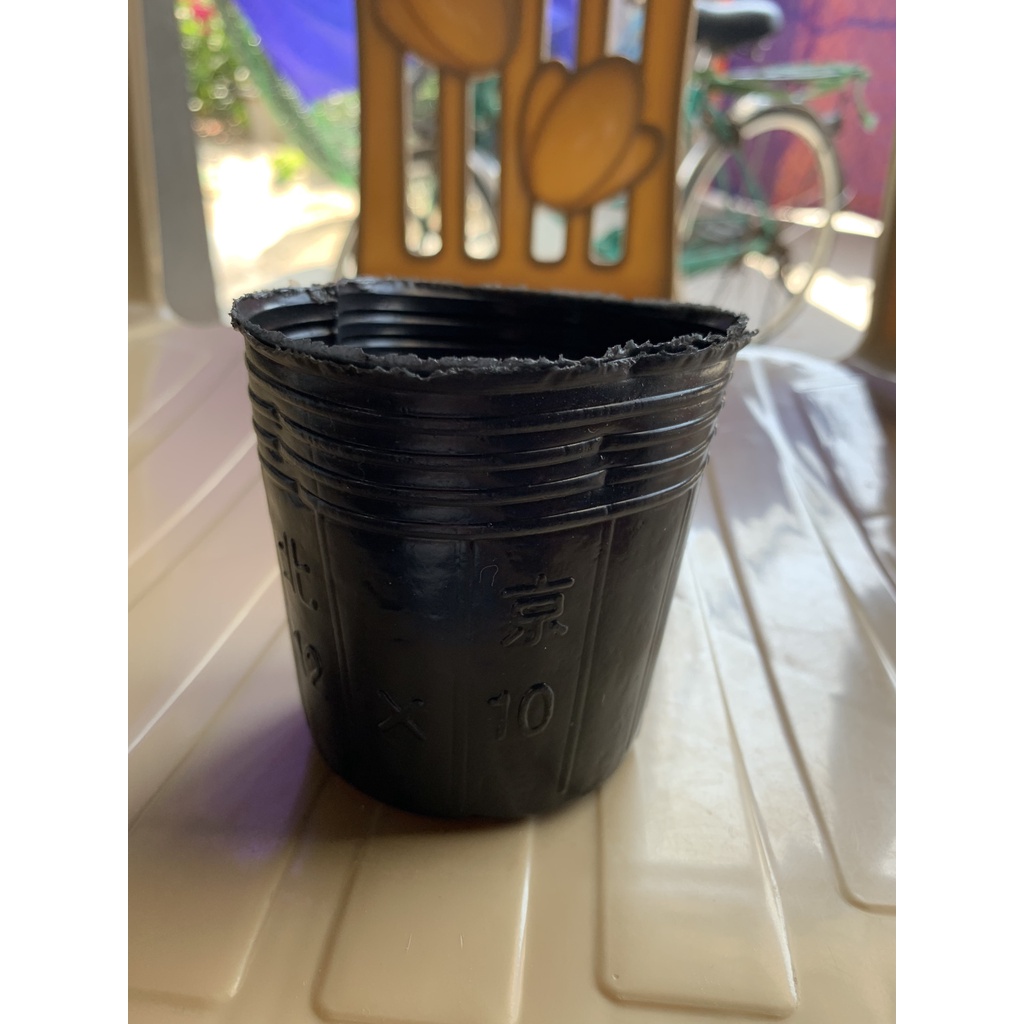 BẦU ƯƠM CÂY 12*10 ( DỊCH TRUYỀN CHO CÂY, KÍCH RỄ , MẦM CÂY XANH LÁ, LƯỚI CHE NẮNG...)