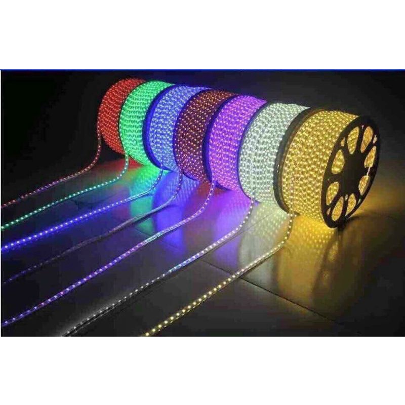 Cắt lẻ - dây led 2 hàng bóng điện 220V chuyên dùng quấn cây, hắt trần, chuyên trang trí ngoài trời