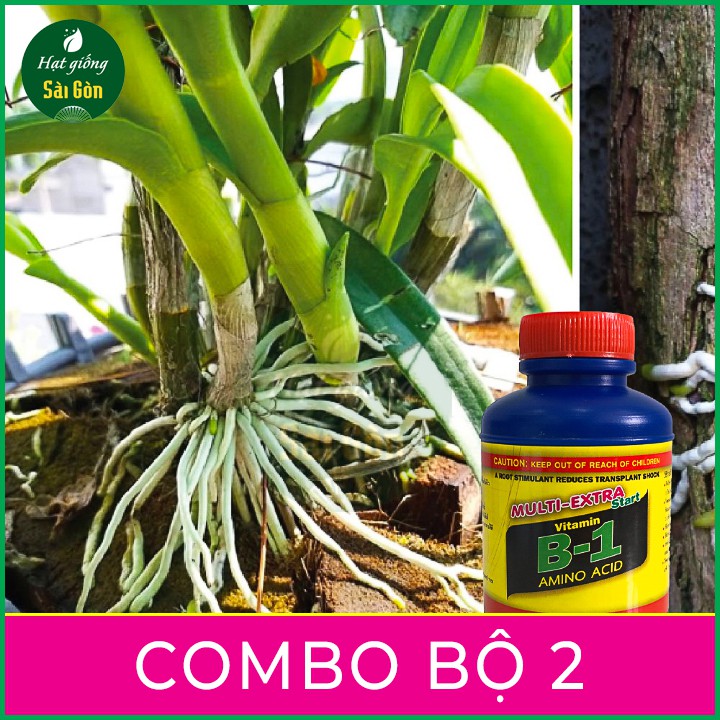 Phân bón lá cao cấp vitamin B1 Start của Growmore Thái Lan 2 CHAI