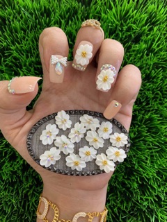 Hoa bột ôm móng NN