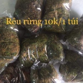 Rêu rừng khô