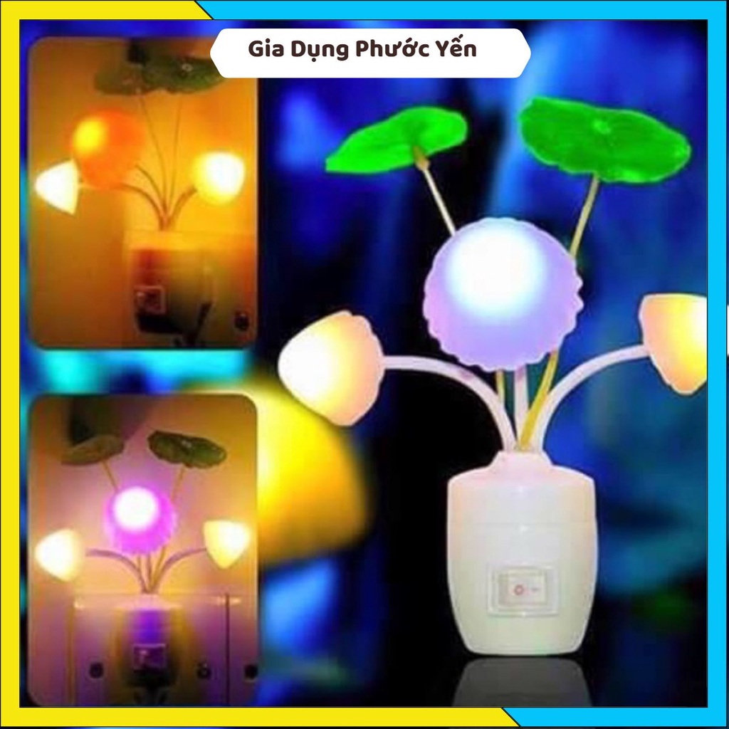 Đèn ngủ nấm cảm ứng