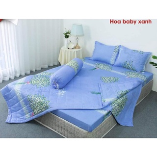(Chat chọn mẫu) Bộ Ga Gối Chăn Hè polycoton 5 món