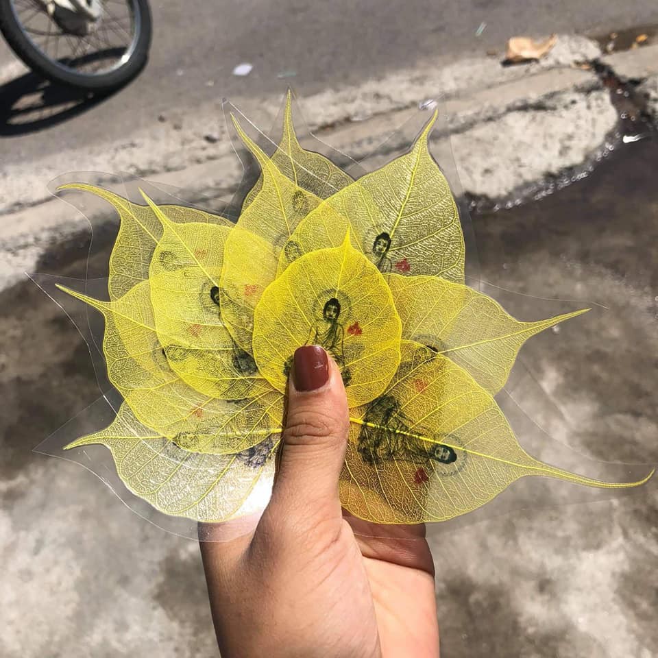 Lá bồ đề cầu bình an | BigBuy360 - bigbuy360.vn