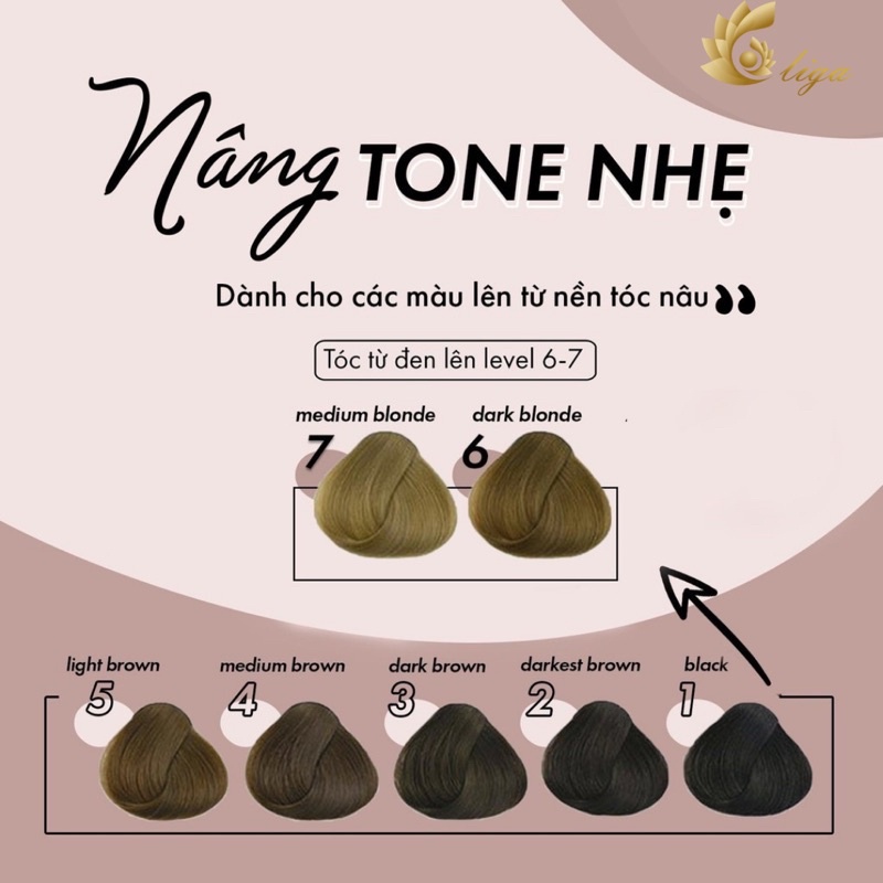 Thuốc NÂNG TONE Tóc - Lên Tone Sáng, Nhuộm Tóc Chuẩn Màu | Galistore