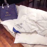 Ruột chăn hilton lông vũ