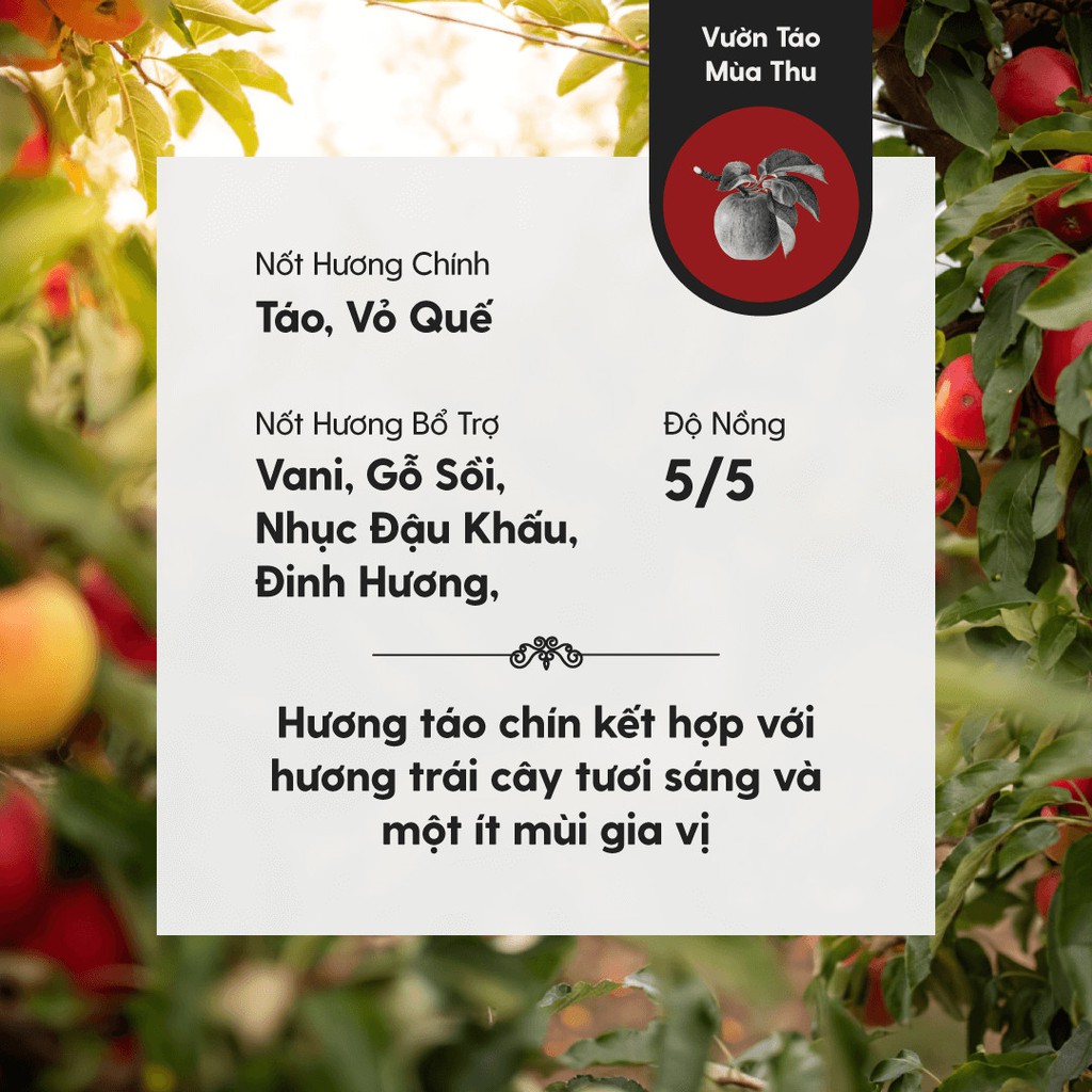 Tinh Dầu Phối Hương Apple Orchard (Ngọt Trái Cây) Làm Nến Thơm, Xông Thơm Phòng HENY GARDEN
