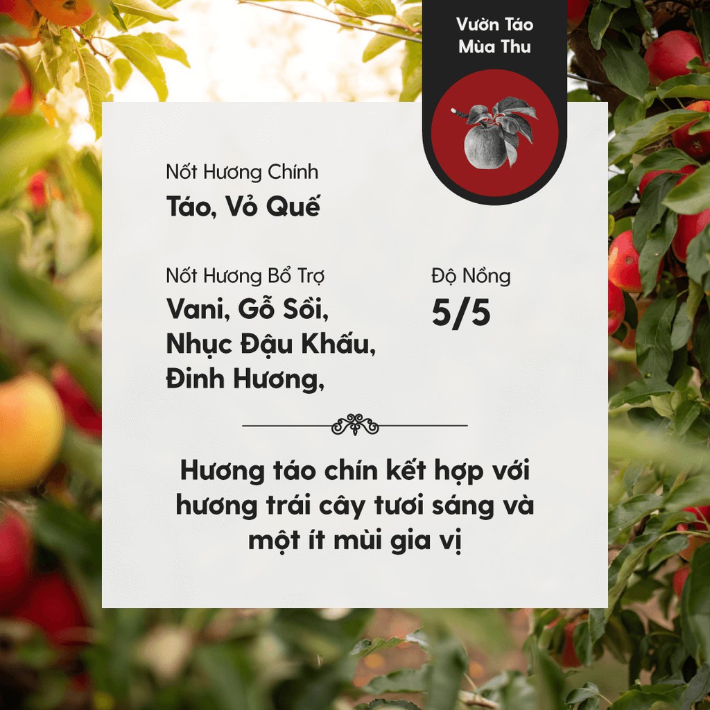 Tinh Dầu Thơm Phối Hương Apple Orchard (Vườn Táo Mùa Thu) Heny Garden - Làm Nến Thơm, Xông Thơm Phòng