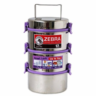 Camen inox Zebra Zelect Smart Lock II 150235