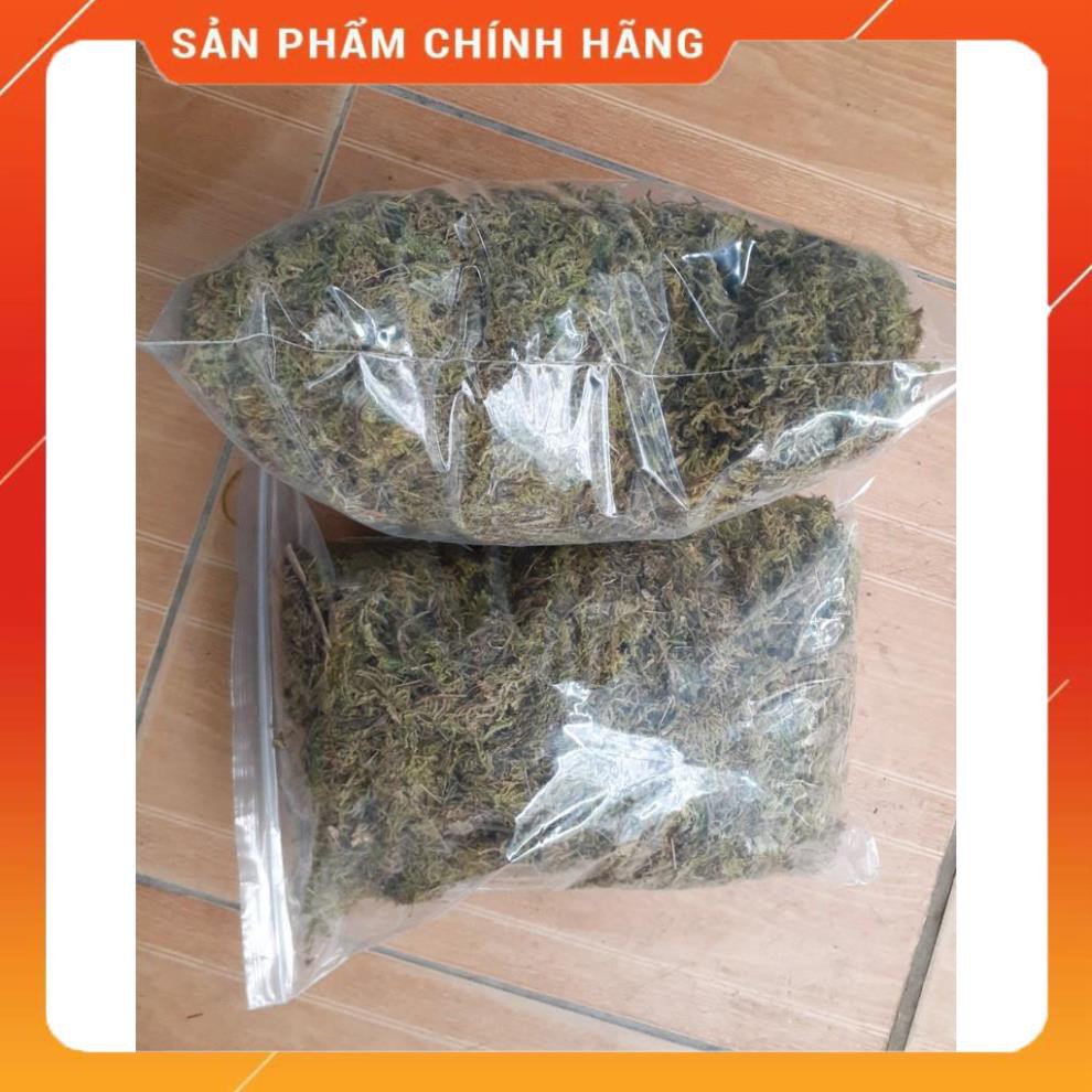 RÊU RỪNG TRỒNG LAN