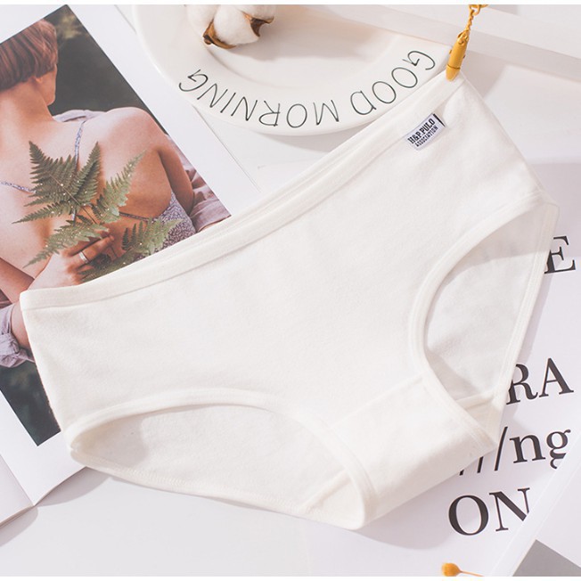 [bigsize] Quần Lót Pulo Còn hàng | BigBuy360 - bigbuy360.vn