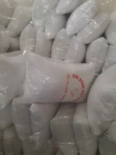 Ruột gối đầu 45x65