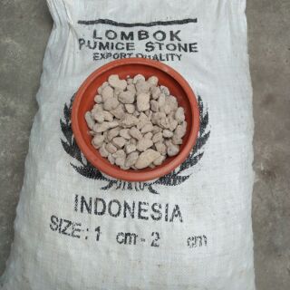 1kg đá núi lửa ( đá bọt) Indonesia Trồng Hoa Lan