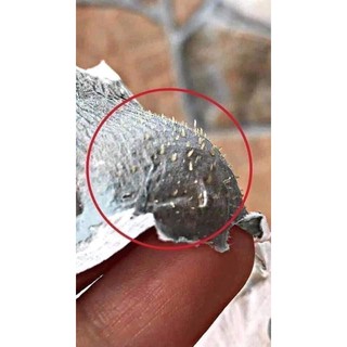 gel lột mụn từ tro núi lửa DR. ANCE