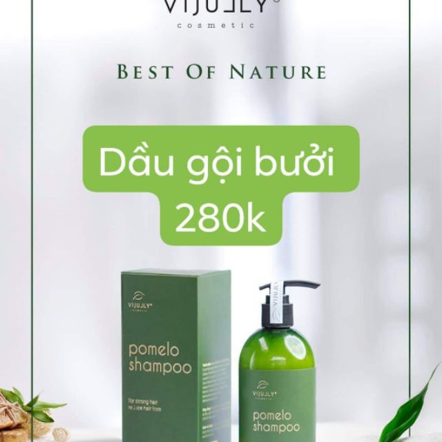 Combo Gội - Xịt -Xả Vijully