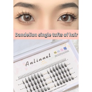 Hàng Mới Về Mới Lông Mi Giả Anlinnet Bồ Công Anh Một Lần Ghép Lông Mi Dưới 3-5 Hàng