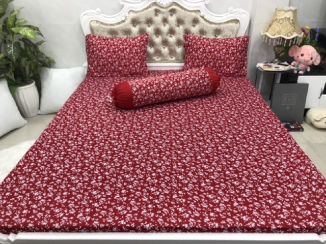 Bộ drap thun Hàn phối màu
