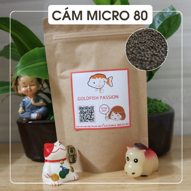 CÁM CÁ VÀNG MICRO 80 GIÚP CÁ KHỎE MẠNH