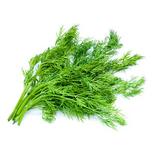 HẠT GIỐNG THÌ LÀ 5 GAM - THUẬN ĐIỀN