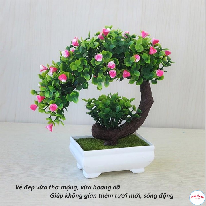 Chậu cây bonsai nhựa giả phú quý cát tường tặng kèm dây đèn led dùng pin siêu sáng - br00581+