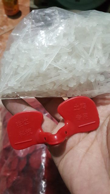 1000cái kính gà chip tàu. Ngăn cwwsn mổ lông nhau