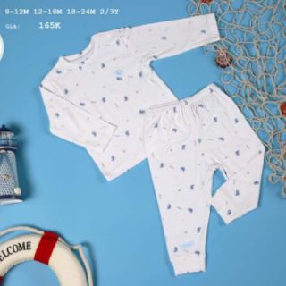 BỘ MOON CHẤT PETIT CAO CẤP