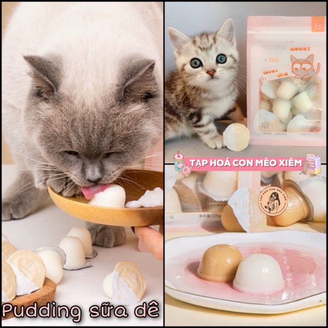Pudding sữa dê cho mèo chắc xương canxi tiêu hoá 15gram, thức ăn snack cho mèo con lớn nhỏ Con Mèo Xiêm