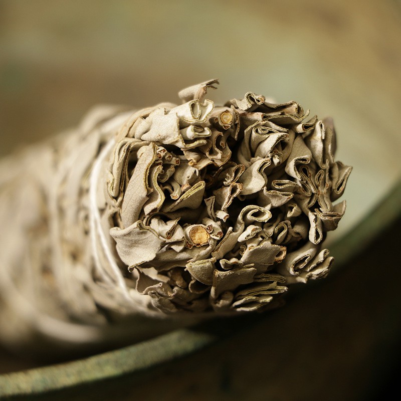 Bó xô thơm trắng/ White sage/ Lá sage thanh tẩy không gian (chuẩn Nam California)