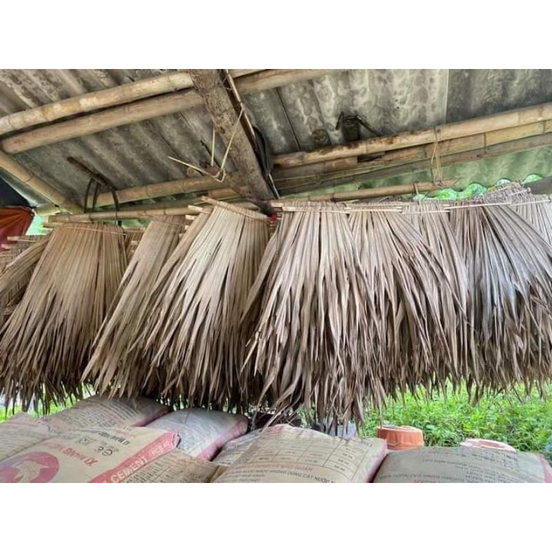 Tấm tranh lợp Lá Cọ trang trí, chống nóng, chống nắng dài 1 mét