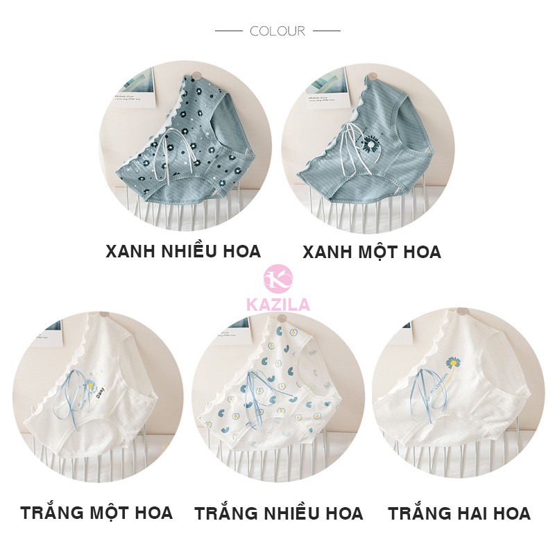 Quần lót nữ cotton gân tăm cao cấp, quần lót nữ dễ thương hoa cúc Kazila QLH68