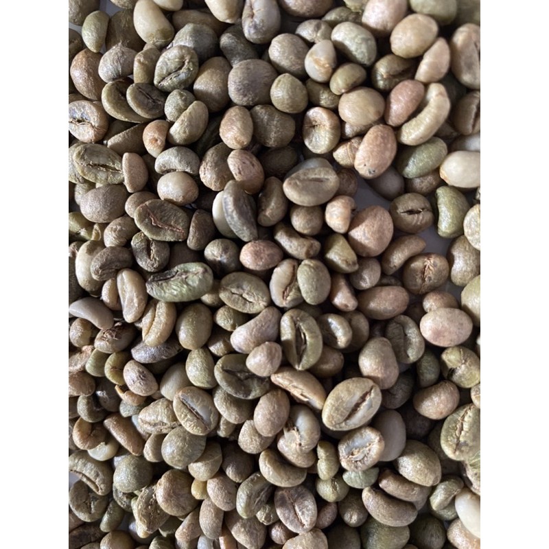 1kg Cà phê nhân hạt tươi robusta đã qua sàng lọc