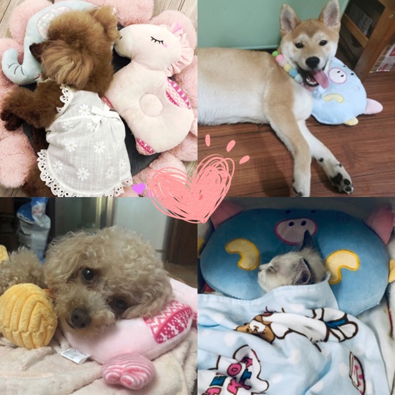 Gối ngủ mềm mịn thiết kế dễ thương cho thú cưng