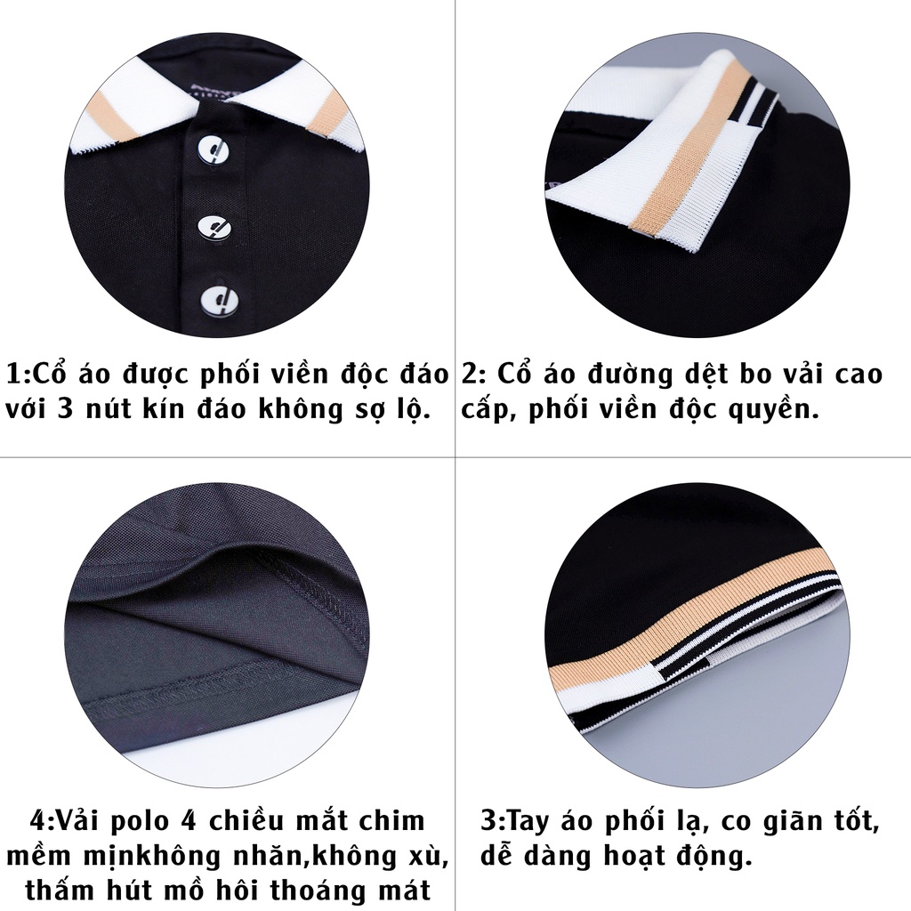 Áo thun polo nữ có cổ công sở AMYRA, mắt chim phông rộng tay ngắn thun trơn cao cấp mặc đi làm, đi chơi basic AT031