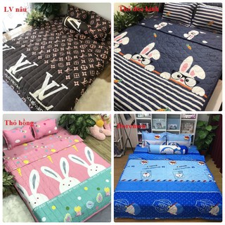 Bộ ga chun kèm 2 vỏ gối poly cotton ( 1m6 x 2m - 1m8 x 2m) hàng đẹp