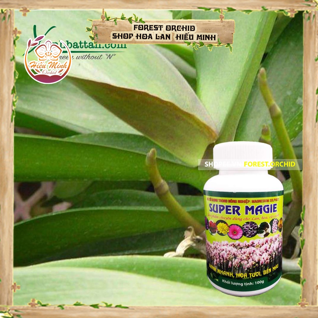 Super Magie Phân Bón Làm Xanh Lá Và Phát Triển Đỉnh Ngọn Cho Phong Lan