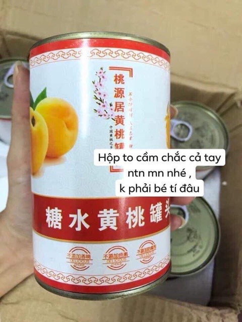 Hộp 425gram ĐÀO NGÂM SIÊU NGON | BigBuy360 - bigbuy360.vn
