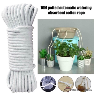 Dây bấc tưới nước dài 10m cho chậu cây