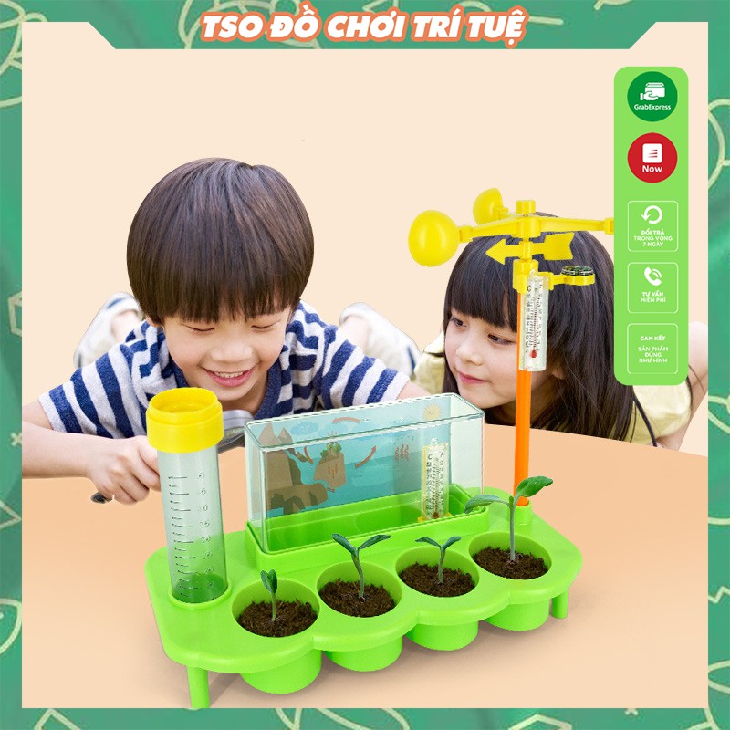 Đồ Chơi Thí Nghiệm Khoa HọcTrạm Khí Tượng Sinh Thái Trồng Hoa, Trồng Đậu Và Mô Phỏng Sự Hình Thành Mưa Có Hạt Giống