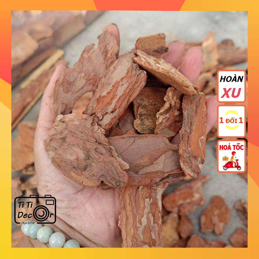 Vỏ Thông Khô TiTi Decor Chụp Ảnh Sản Phẩm Phong Cách Mộc, Vintage Cổ Điển