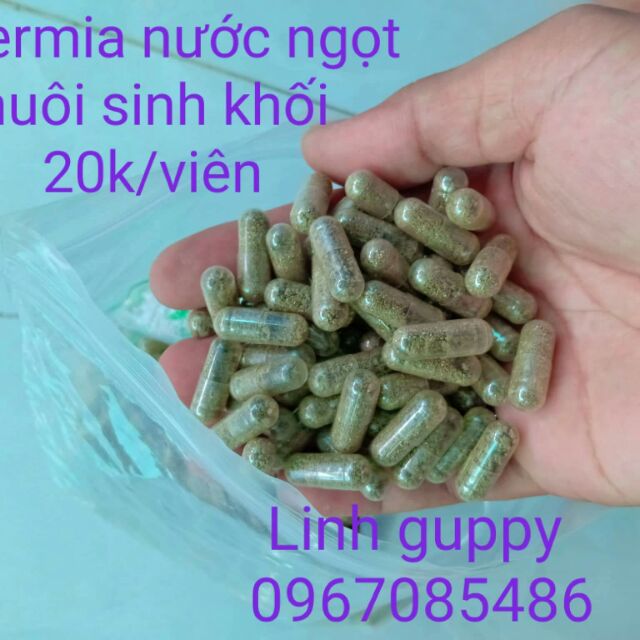 Artemia sinh Khối nước ngọt