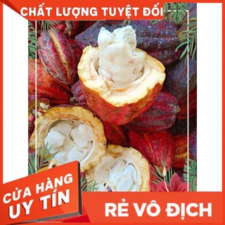 Bột cacao Đăk lăk 500g