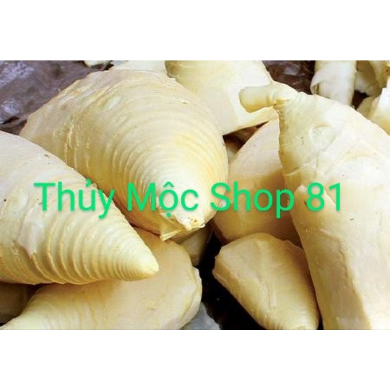 LÁ É TƯƠI PHÚ YÊN💥"COMBO NGUYÊN LIỆU LẨU GÀ LÁ É" : LÁ É TƯƠI, MĂNG CỦ LUỘC, NẤM BÀO NGƯ, ỚT XIÊM XANH, BÚN TƯƠI